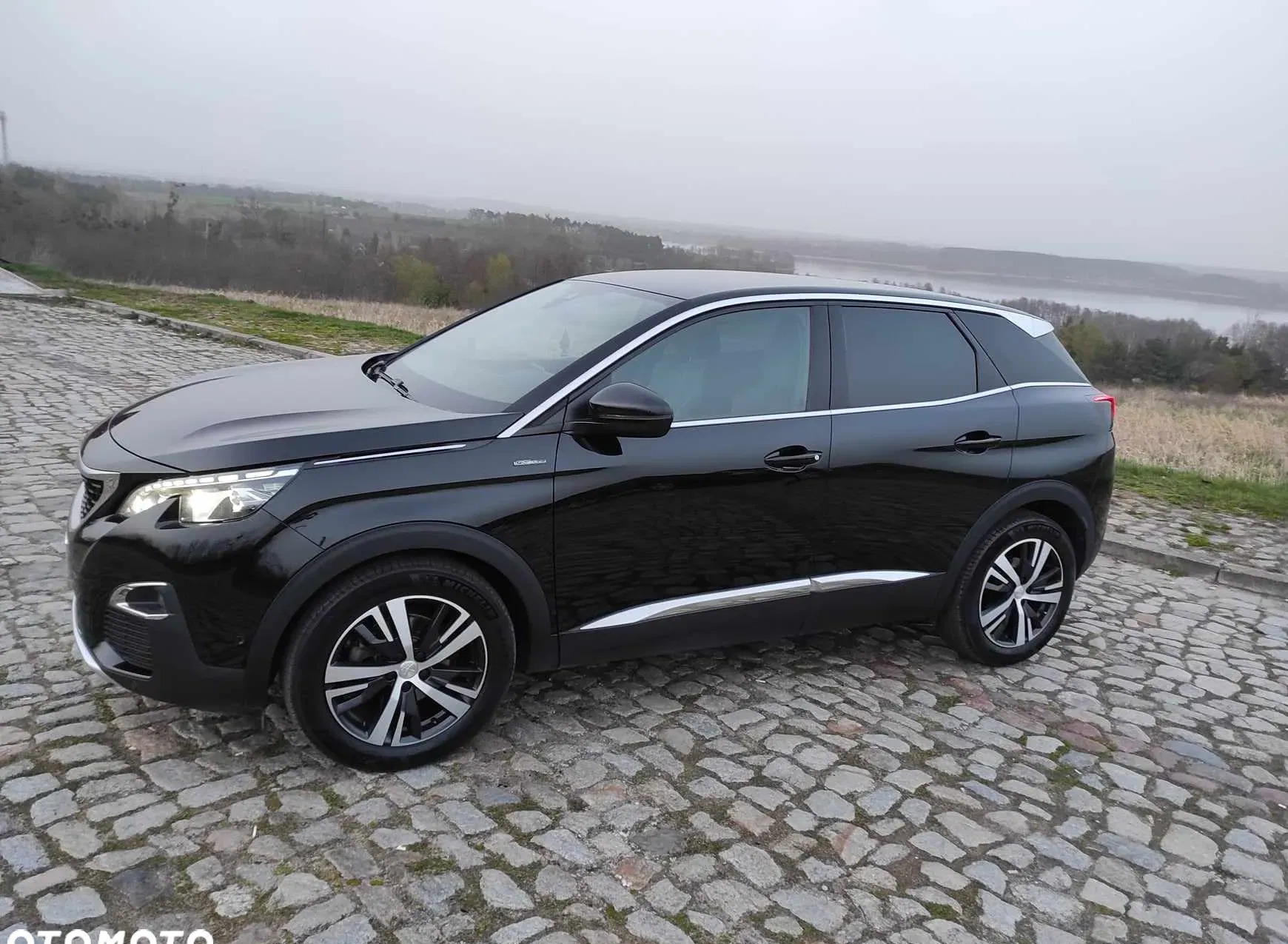 wielkopolskie Peugeot 3008 cena 79000 przebieg: 172500, rok produkcji 2017 z Sieraków